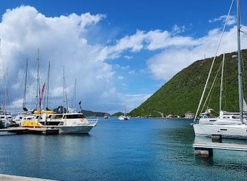 british-virgin-islands/west-end/attraction/soper-s-hole-wharf-marina