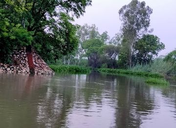 india/haryana/attraction/bhindawas-bird-sanctuary-ramsar-wetland