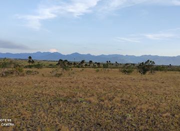 guyana/lethem/attraction/sitio-ipe-resort