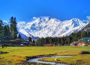 pakistan/fairy-meadows/attraction/fairy-meadows