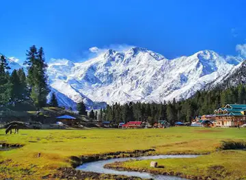 Fairy meadows