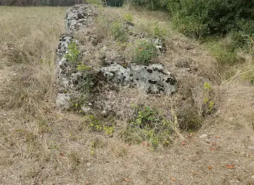 Tumulus de la Folatière