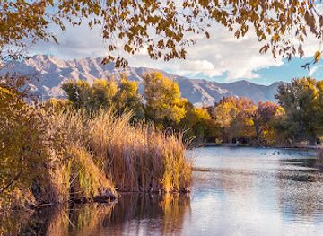 nevada/clark-county/attraction/floyd-lamb-park