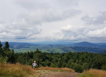 poland/gorce-mountains/attraction/polana-laki