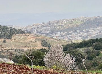 jordan/jerash/attraction/m-ahmad-alatoom-farm