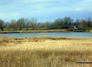 poland/zulawy/attraction/zulawy-cedynskie