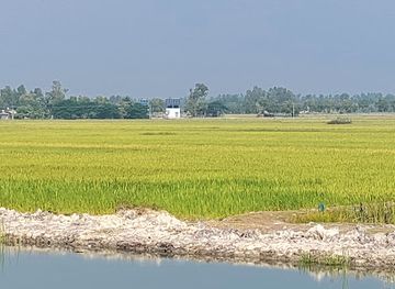 bangladesh/sundarbans/attraction/sundarban-zero-point
