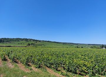france/burgundy-vineyards/attraction/park-bouzaise