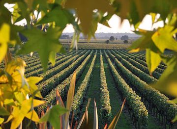 france/aquitaine/attraction/chateau-mauvinon