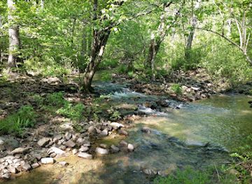 arkansas/ouachita-national-forest/attraction/black-fork-mountain-trail