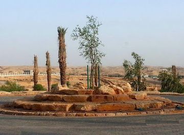 saudi-arabia/riyadh/attraction/king-salman-park