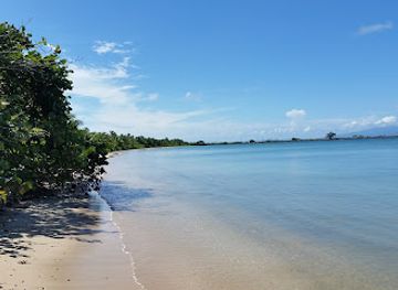 puerto-rico/vieques/attraction/parque-de-la-ceiba-de-vieques-reserva-natural