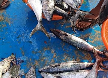 india/lakshadweep/attraction/pitti-island