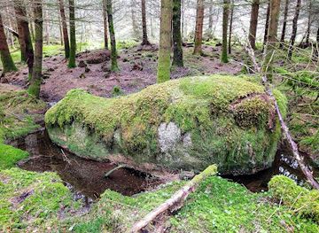norway/hordaland/attraction/the-old-otter-in-the-forest