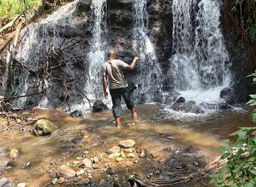 kenya/mount-elgon-national-park/attraction/chesurur-falls