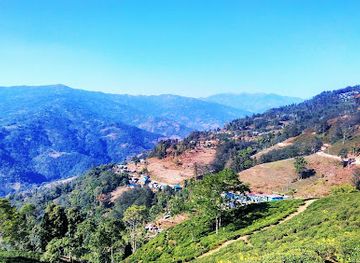 nepal/province-no-1/attraction/ilam-view-tower