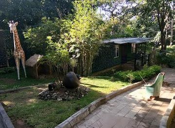 philippines/subic/attraction/zoobic-glampz-subic