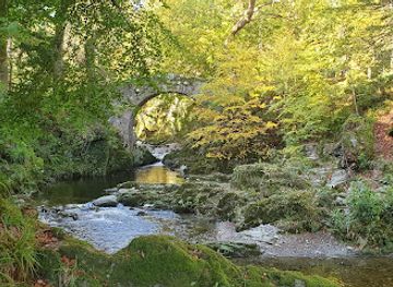 ireland/mourne-mountains/attraction/foley-s-bridge