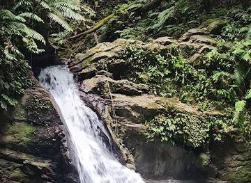 trinidad-and-tobago/chaguanas/attraction/rio-seco-waterfall