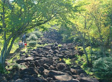 japan/nara/attraction/forest-park-konoyama