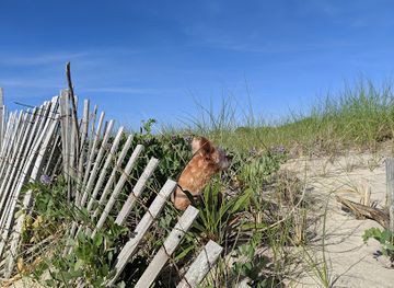 new-york/the-hamptons/attraction/sagg-main-beach