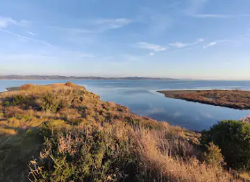 Viewpoint