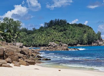 seychelles/ile-therese/attraction/anse-bazarca-beach