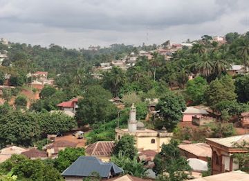 cameroon/east-region/attraction/musee-de-foumban