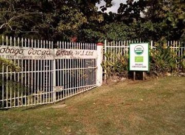 trinidad-and-tobago/scarborough/attraction/tobago-cocoa-estate