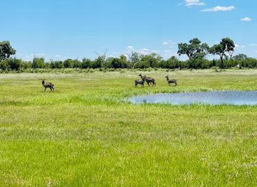 botswana/maun/attraction/khwai-hippo-pools