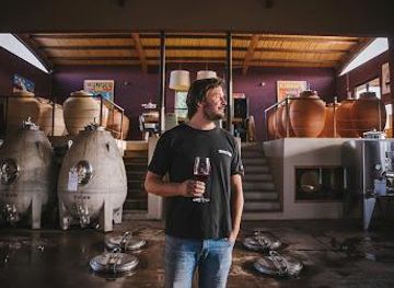 argentina/mendoza/attraction/riccitelli-wines