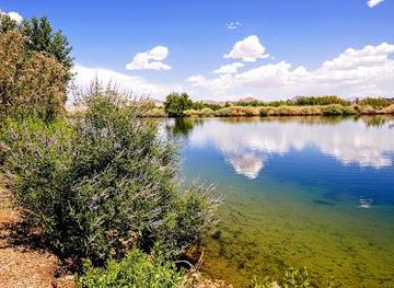 nevada/hoover-dam/attraction/henderson-bird-viewing-preserve