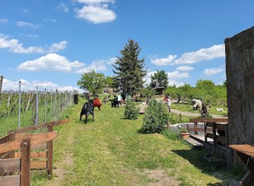 hungary/eger/attraction/noe-kertje-elmenypark