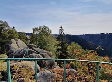 germany/harz-national-park/attraction/mausefalle