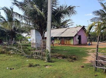 sri-lanka/kalpitiya/attraction/oyster-farm