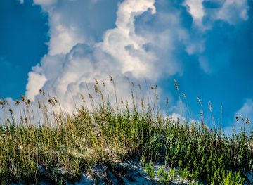 north-carolina/foothills/attraction/kindred-spirits-mailbox