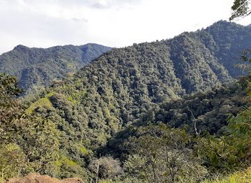 ecuador/napo-region/attraction/butterfly-house-nathaly-mindo