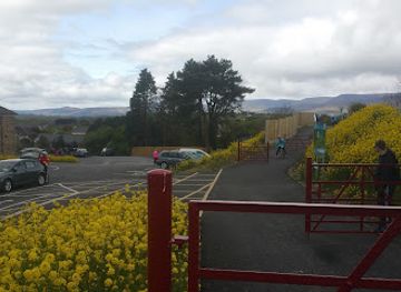 ireland/county-waterford/attraction/mayfield-birds-of-prey