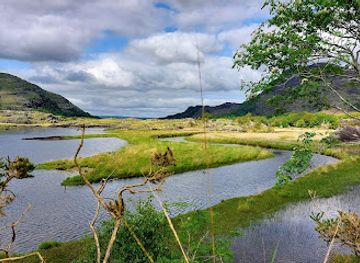 ireland/killarney/attraction/owengarriff-river