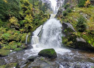 germany/black-forest/attraction/triberg-land