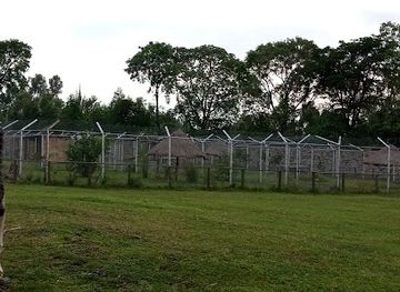 kenya/mount-elgon-national-park/attraction/buteyo-miti-park