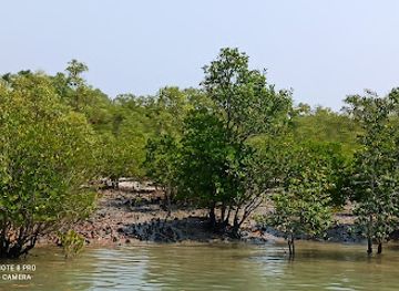 india/sundarbans/attraction/sundarban-eco-tourism