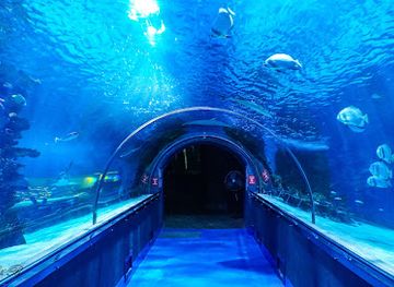 hungary/southern-great-plain/attraction/tropicarium-oceanarium-kft