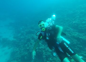 egypt/dahab/attraction/diving