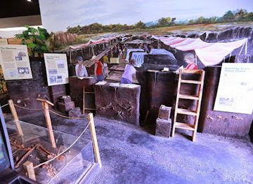 florida/space-coast/attraction/brevard-museum-of-history-and-natural-science