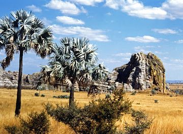 madagascar/anosy/attraction/nationalpark-andohahela