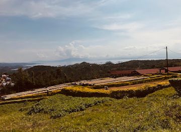 rwanda/karongi/attraction/kopakama-coffee-washing-station