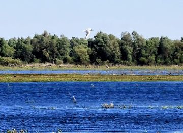 poland/warta-mouth-national-park/attraction/czatownia-obserwacyjna