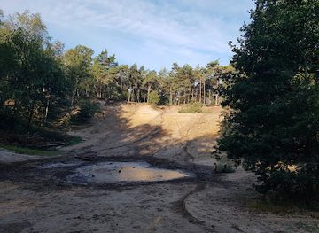 netherlands/sallandse-heuvelrug-national-park/attraction/hellendoornseberg