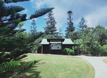 norfolk-island/phillip-island/attraction/palm-glen-track